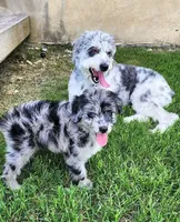 processed/e87bb229-718a-4ab9-8ce3-07638d647368/facility/1d643792-4385-4570-88fb-153af84d75fe