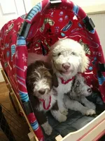 processed/e87bb229-718a-4ab9-8ce3-07638d647368/facility/201d9354-a9c2-4677-a057-eefe98ef76c7