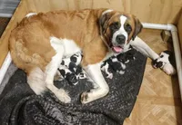 processed/e87bb229-718a-4ab9-8ce3-07638d647368/facility/63d40c48-ccae-4867-8ed2-00b43e12c6c6