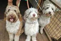 processed/e87bb229-718a-4ab9-8ce3-07638d647368/facility/aa73a30e-7f2a-439b-9ee1-ffdf0bd2c604