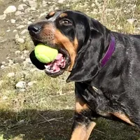 processed/e87ec19d-6598-4784-97c9-6fabc7550cb0/facility/421cf394-a872-4d42-beaa-5f6470fafc7f