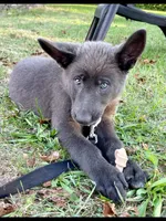 processed/e88090f5-5554-4393-9a4e-e66340af3015/facility/16e8aca2-71df-4558-8cd5-00e475c3d709