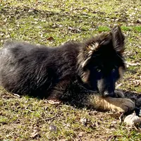 processed/e88090f5-5554-4393-9a4e-e66340af3015/facility/17897e4f-e7a6-4a67-b702-b8ddb20c152f