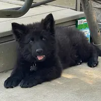 processed/e88090f5-5554-4393-9a4e-e66340af3015/facility/42707195-8f63-4724-818e-1aed75e6c207