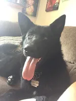 processed/e88090f5-5554-4393-9a4e-e66340af3015/facility/5a14c1a7-c033-4e8a-9883-0a03e6df33d8