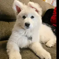 processed/e88090f5-5554-4393-9a4e-e66340af3015/facility/a3b538d0-3336-46d3-80dd-659ba3d87548