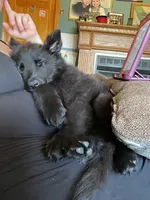 processed/e88090f5-5554-4393-9a4e-e66340af3015/facility/aaf41d3a-043f-473c-9fdf-3b88ddbde2af