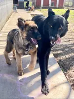 processed/e88090f5-5554-4393-9a4e-e66340af3015/facility/b0270ba2-aaca-4d3d-b4d4-5d5328c975b1