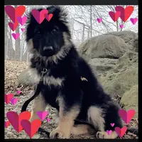 processed/e88090f5-5554-4393-9a4e-e66340af3015/facility/e94fa9d4-0d54-4c61-a301-69d07962582f