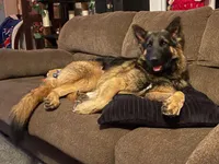 processed/e88090f5-5554-4393-9a4e-e66340af3015/facility/f5088994-0989-4e03-9228-ce521d3d4505