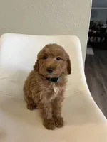 processed/e88b9cfc-e096-4655-9e80-16a772add41b/listing/14ebf3a4-a7f3-4f47-8baa-5ace4c21979d/509ef5ba-314c-4113-9c4b-126d999c89e8