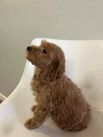 processed/e88b9cfc-e096-4655-9e80-16a772add41b/listing/14ebf3a4-a7f3-4f47-8baa-5ace4c21979d/95ab6616-338b-46a7-8f26-685cb35b897e