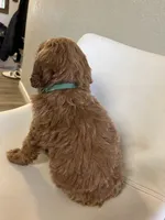 processed/e88b9cfc-e096-4655-9e80-16a772add41b/listing/14ebf3a4-a7f3-4f47-8baa-5ace4c21979d/a3fa27e4-fa6b-4bd8-b07b-b2b9277caee5