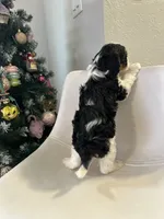 processed/e88b9cfc-e096-4655-9e80-16a772add41b/listing/442bf414-b020-4427-a338-8ef92c5202bc/8aabcf58-1547-408f-afbb-afe3fdb7be6a