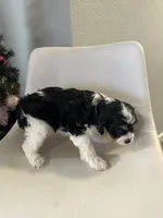 processed/e88b9cfc-e096-4655-9e80-16a772add41b/listing/442bf414-b020-4427-a338-8ef92c5202bc/ab540102-ce04-4c5a-8121-a409e64b6941