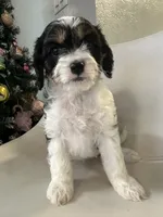 processed/e88b9cfc-e096-4655-9e80-16a772add41b/listing/442bf414-b020-4427-a338-8ef92c5202bc/ee33a3df-ee59-4c83-abd6-6f2eb7cb8b93