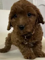 processed/e88b9cfc-e096-4655-9e80-16a772add41b/listing/77b47982-0f82-45cd-bf0f-009bdbf9b9de/6be6f3dd-52de-418b-ba83-871690e1760a