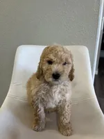 processed/e88b9cfc-e096-4655-9e80-16a772add41b/listing/a6791b55-e781-435b-ab82-ea936f3e92de/17633ae3-3595-4a4f-acbd-533d718787c2