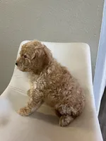 processed/e88b9cfc-e096-4655-9e80-16a772add41b/listing/a6791b55-e781-435b-ab82-ea936f3e92de/3153efff-cad1-4a3f-a85f-9cc85559159b