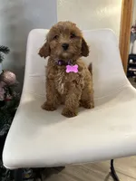 processed/e88b9cfc-e096-4655-9e80-16a772add41b/listing/b0e72ab9-d9ab-4e78-8d07-ede51b05683e/09004af8-ad65-4490-baf9-857e696fdcef