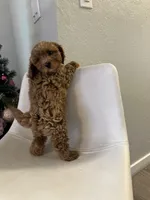 processed/e88b9cfc-e096-4655-9e80-16a772add41b/listing/b0e72ab9-d9ab-4e78-8d07-ede51b05683e/1f087186-ab43-4b3f-99f5-2d7937a21675