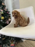 processed/e88b9cfc-e096-4655-9e80-16a772add41b/listing/b0e72ab9-d9ab-4e78-8d07-ede51b05683e/6d3c41fd-e161-4b5a-a809-5bfd25ecfea9