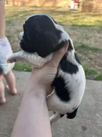 processed/e88d05ab-db3d-4fbf-99b2-084fdd859558/listing/2b8bc3f3-b6a2-40ed-a4f0-3bc5791cb9d1/47f9fd4a-8589-479d-8304-33cb70bb4ada