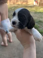 processed/e88d05ab-db3d-4fbf-99b2-084fdd859558/listing/2b8bc3f3-b6a2-40ed-a4f0-3bc5791cb9d1/67305309-cae4-4237-8e47-35593040aad2