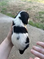 processed/e88d05ab-db3d-4fbf-99b2-084fdd859558/listing/2b8bc3f3-b6a2-40ed-a4f0-3bc5791cb9d1/85739d04-bd3e-43b4-a406-c79773e35e1a