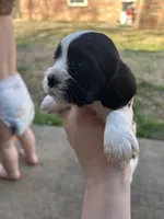 processed/e88d05ab-db3d-4fbf-99b2-084fdd859558/listing/2b8bc3f3-b6a2-40ed-a4f0-3bc5791cb9d1/acdd6b8b-f1e8-47b9-adbe-4a77cdbdab33