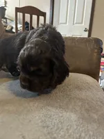 processed/e88d05ab-db3d-4fbf-99b2-084fdd859558/listing/2e096825-36a0-4395-9986-b2a375dbe287/0eb781f6-1df1-45ce-b1a7-0da8feb19500