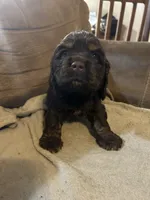 processed/e88d05ab-db3d-4fbf-99b2-084fdd859558/listing/2e096825-36a0-4395-9986-b2a375dbe287/14b263d1-49c4-438a-9488-3452aa02916e