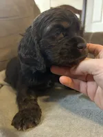 processed/e88d05ab-db3d-4fbf-99b2-084fdd859558/listing/2e096825-36a0-4395-9986-b2a375dbe287/e6f58ddc-5c93-43c6-ab98-3beb4ac8df66