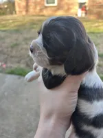 processed/e88d05ab-db3d-4fbf-99b2-084fdd859558/listing/2f94d59b-14f8-4f89-9eb4-1163562bd9b3/0f03533c-ed12-42d9-af27-f7e7dca85f8d