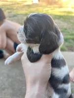 processed/e88d05ab-db3d-4fbf-99b2-084fdd859558/listing/2f94d59b-14f8-4f89-9eb4-1163562bd9b3/3099991c-0739-4129-aaab-bee9e9de75e2