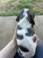 processed/e88d05ab-db3d-4fbf-99b2-084fdd859558/listing/2f94d59b-14f8-4f89-9eb4-1163562bd9b3/987eddc7-1308-4f8f-9ff9-d6d00b52864d