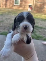 processed/e88d05ab-db3d-4fbf-99b2-084fdd859558/listing/2f94d59b-14f8-4f89-9eb4-1163562bd9b3/e3aabda2-6b57-4ed5-a14b-ff0dc162db46