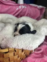 processed/e88d05ab-db3d-4fbf-99b2-084fdd859558/listing/ae8f1fbf-47c7-4f5c-87c2-c8ec10f1c96f/d11d1431-0084-419a-97ec-7d1f4fa7294a