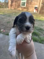 processed/e88d05ab-db3d-4fbf-99b2-084fdd859558/listing/c6c986a1-a99c-4e0b-ab82-cd1eef323a1f/09baf5c0-c342-4d84-89fa-885564afad50