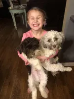 processed/e890c5ed-6aa1-4c43-92b8-4b14e5e999c2/facility/1c503f39-9285-4557-bcbc-1a65ce826fea