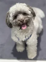 processed/e890c5ed-6aa1-4c43-92b8-4b14e5e999c2/facility/26ffe883-8839-42b1-8d2e-17ce6c832021