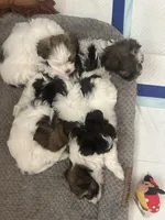 processed/e890c5ed-6aa1-4c43-92b8-4b14e5e999c2/facility/37d68ad7-ae80-44ee-9653-f5ecf3e3c75c