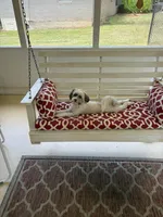 processed/e890c5ed-6aa1-4c43-92b8-4b14e5e999c2/facility/753d1e71-3f50-4b00-8ef2-0aa48732cb55