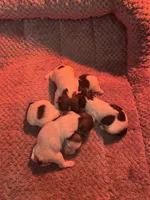 processed/e890c5ed-6aa1-4c43-92b8-4b14e5e999c2/facility/c5d47e3b-7994-4508-b7e1-b738a82f2ab0