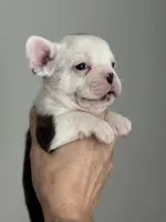 processed/e895d5b8-4a0e-409f-a73a-9e2c6744334b/listing/765c3369-b762-4f01-b846-12325628aac8/94a28b57-21ea-4797-a3f5-da7cbd3f0db3