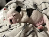 processed/e895d5b8-4a0e-409f-a73a-9e2c6744334b/listing/a3beda7e-bf2b-4997-8232-7271ab61e5c4/6aee5515-ae65-48e8-9db2-fdb8a6052831