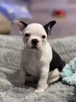 processed/e895d5b8-4a0e-409f-a73a-9e2c6744334b/listing/a3beda7e-bf2b-4997-8232-7271ab61e5c4/ef8bc5da-402c-4c2d-b82c-790eba10e1a4