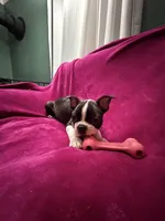 processed/e8a28860-99c6-4984-97b1-823ec633c07a/listing/281ed057-3578-4d0d-8077-0723a1e1e1d0/447dd67a-f855-4bff-9757-46144af90e66