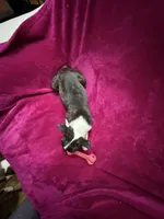 processed/e8a28860-99c6-4984-97b1-823ec633c07a/listing/281ed057-3578-4d0d-8077-0723a1e1e1d0/907d70b5-8f82-4b15-98bd-37c58b4b0e1e