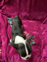 processed/e8a28860-99c6-4984-97b1-823ec633c07a/listing/8dc71cba-a44f-4bcd-93d0-0600d5d4209d/07775533-dbfa-47c1-94fc-4b1c3cff1cca